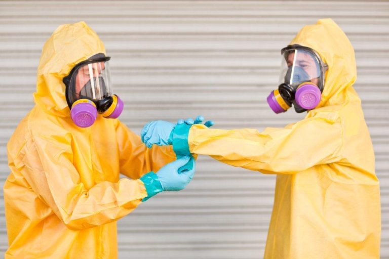 Mold Remediation Tampa FL | Professional Mold Removal
