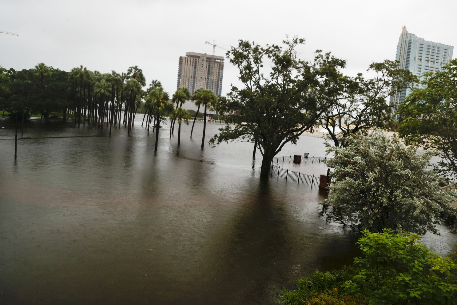 Water Damage Repair Tampa FL | 24/7 Emergency Cleanup